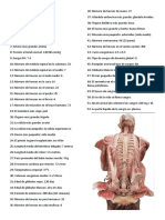 Datos Anatomicos Cuerpo Humano