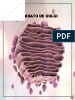 Informe Escrito Sobre El Aparato de Golgi y Sus Patologías Humanas Asociadas