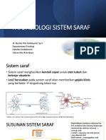 Sistem Saraf Otak