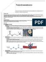 Informe Cientifico