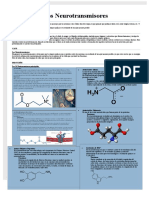 Los Neurotransmisores