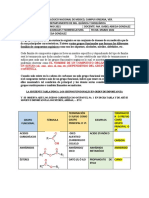 REGLAS NOMENCLATURA-ENE-2022