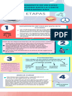 Infografía Procedimiento Ante La Corte IDH