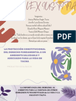 La Protección Constitucional Del Derecho Fundamental A Un Ambiente Saludable y Adecuado para La Vida en Tacna