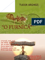 0 Furnica