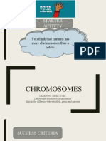 Chromosomes Notes