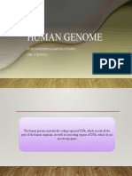 Human Genome (Prof.retno)