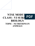 Nutrition in Animals NTSE VI