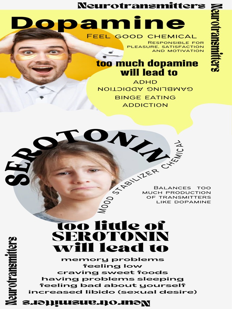 The Role of Key Neurotransmitters in Regulating Mood, Behavior, and