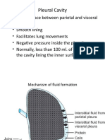 Pleural Cavity - Jindal Chest Clinic