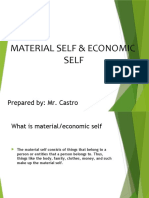 Material and Economic Self