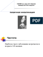 Kishechnaya_invaginatsia