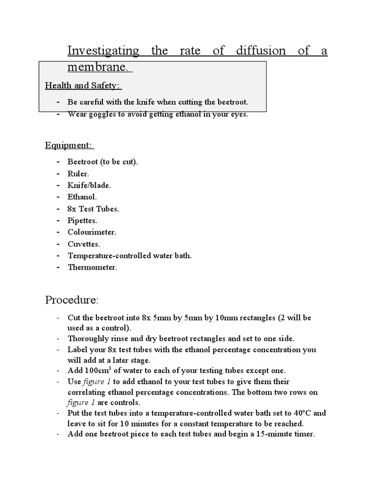 Beetroot Diffusion Experiment Guide | PDF | Home & Garden | Science ...
