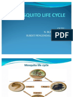 Siklus Hidup & Bionomik Nyamuk(1)