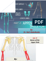 Lecture 4 - Bones of The Upper Limbs