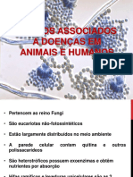 Aula Microvet Micologia