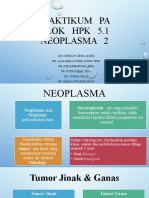 Praktikum PA Blok 5.1 - Pr2 - Offline