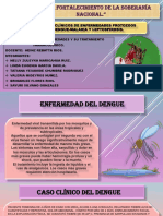 Casos Clinicos Del Dengue