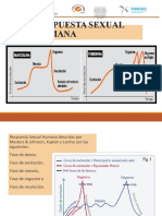SESION 7 Respuesta Cerebral Sexual