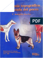 Anatomía Topográfica y Aplicada Del Perro Prof DR C BOBADILLA