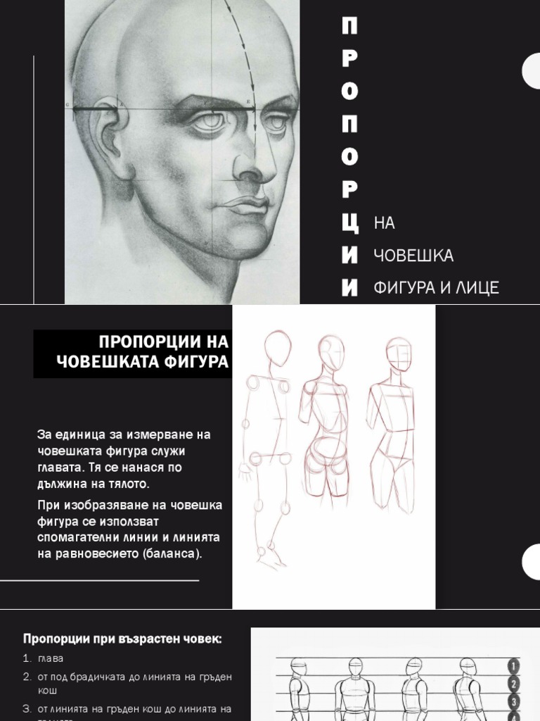 пропорции | PDF