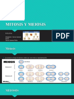 Mitosis y meiosis: división celular