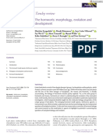 New Phytologist - 2020 - Frangedakis - The Hornworts Morphology Evolution and Development - Compressed