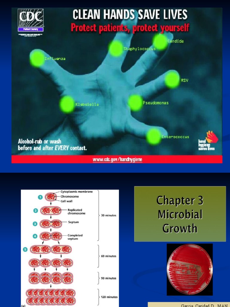 Micro CH 3 Growth | PDF | Growth Medium | Bacteria