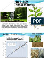 Tema 2 Agua 2022