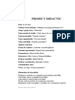 Proiect Didactic