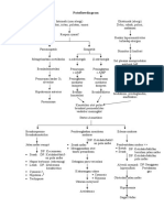 Pathway ASMA - BRONKIALE