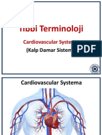 Tıbbi Terminoloji: Cardiovascular Systema