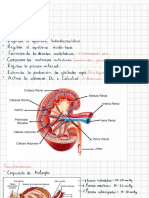 Fisiología Renal - 220809 - 131138