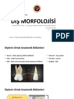 Ders2 - Dişin Anatomik Bölümleri Ve Dokuları