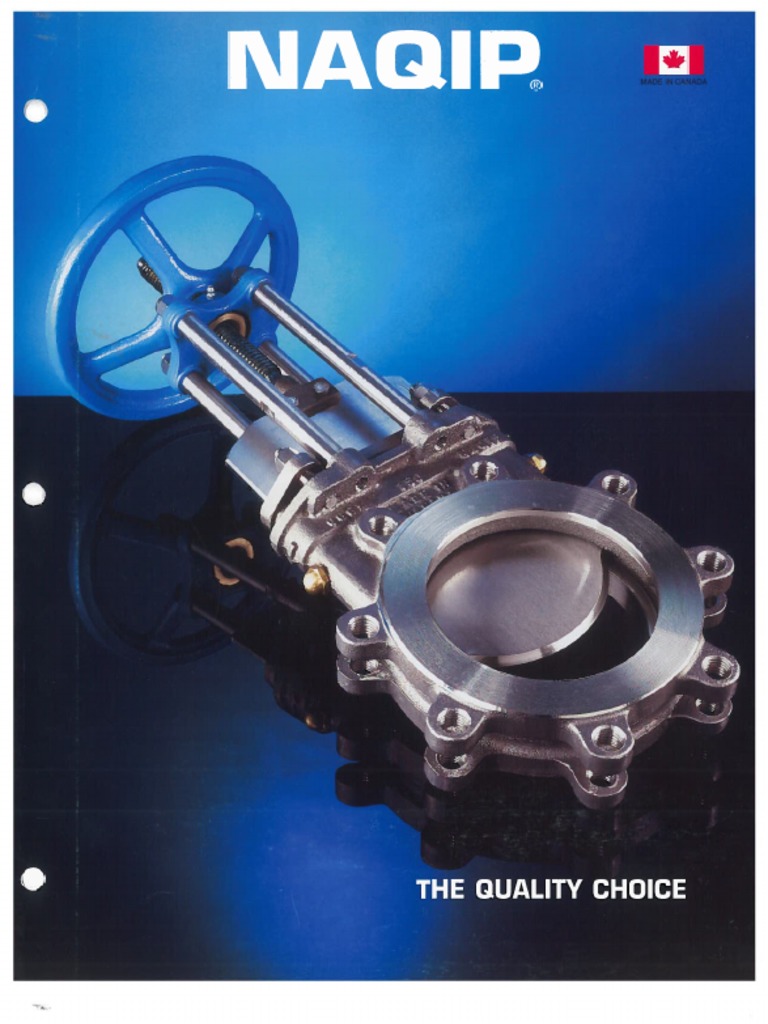 NAQIP PDF Valve Screw