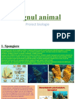 Regnul Animal Proiect Biologie