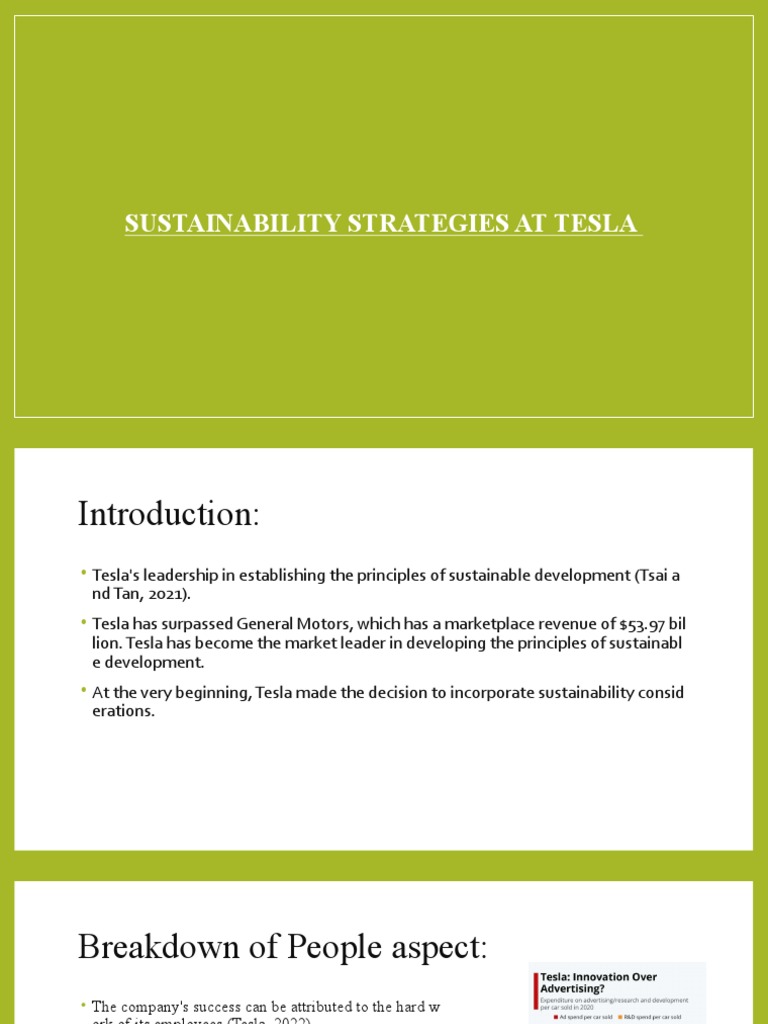 Tesla's Sustainability Strategies Explained | PDF | Hybrid Electric ...