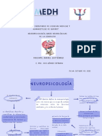 Mapa Conceptual Neuropsicologia PS2