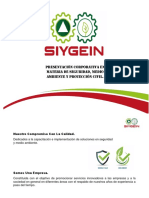 Presentación Corporativa Siygein