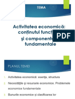 Tema 2. Activitatea economica