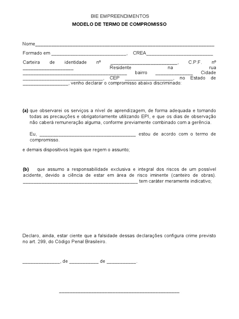 termo-de-responsabilidade-pdf