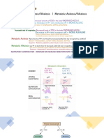 Acidosis and Alkalosis