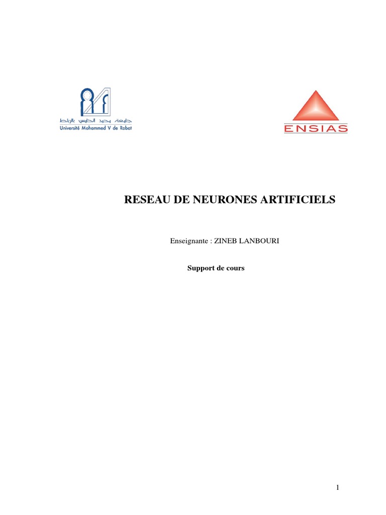 Introduction aux Réseaux de Neurones | PDF | Apprentissage automatique ...