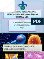 Diapositivas Morfofisiología Hoy