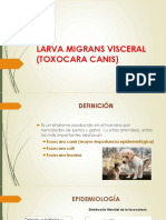 Larva Migrans Visceral - Toxocara Canis