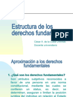 Estructura de Los Derechos Fundamentales - TEMA 3