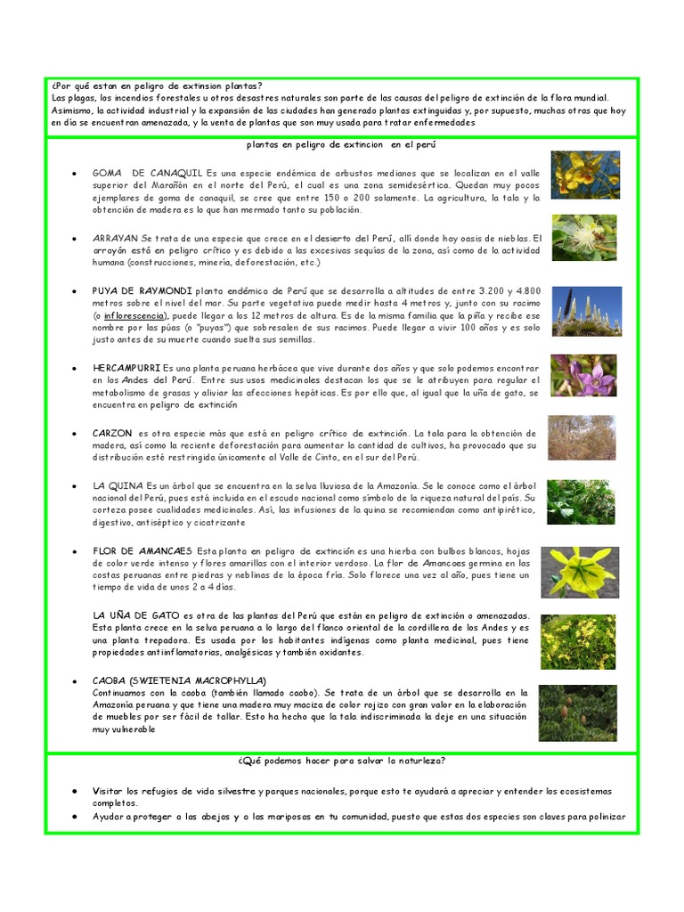 extinci-n-de-plantas-pdf-per-deforestaci-n