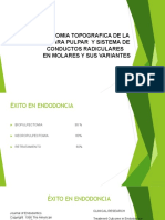 4 Anatomia Topografica Molares Variantes