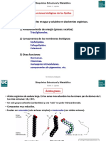 Funciones Lípidos Biomembranas