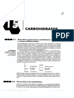 20090320_Carbohidratos0001 (2)